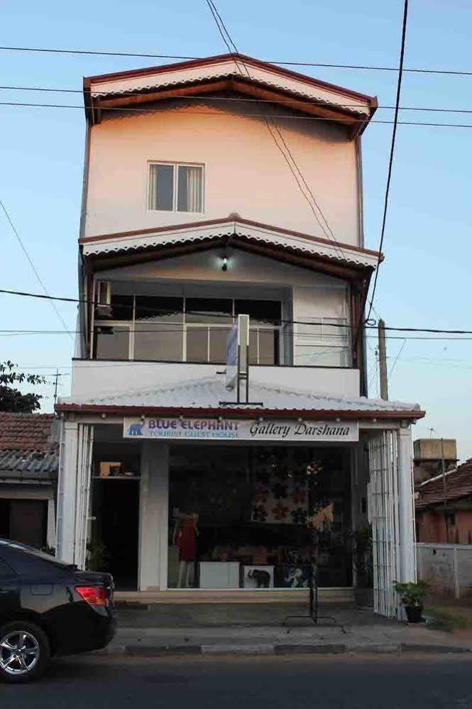 Blue Elephant Tourist Guesthouse Kudapaduwa Kültér fotó